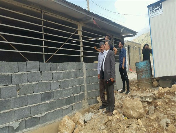 احداث 146 واحد دامی در روستاهای زلزله زده سرپل ذهاب