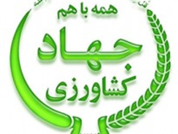 اختصاص ۶۰۰ میلیارد ریال اعتبار برای پروژه های بخش کشاورزی استان
