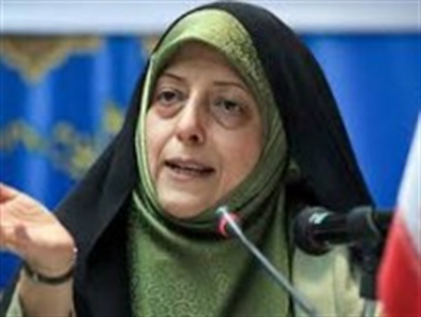 رئیس سازمان حفاظت از محیط زیست کشور به دیدار آیت الله واعظ طبسی رفت