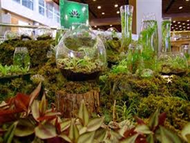 برپایی سومین نمایشگاه گل و گیاه در اراک
