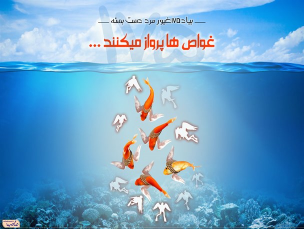 غواص ها پرواز می کنند