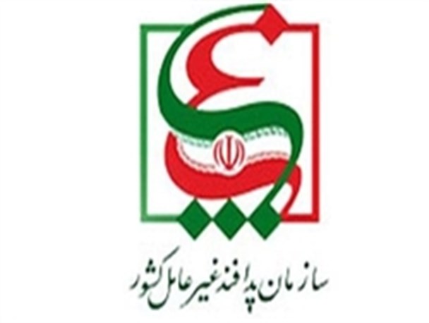 قرارگاه پدافند زیستی با سرشاخه های خود در شهرستان ها مرتبط می شود/ استانداران فرماندهان پدافند زیستی می شوند
