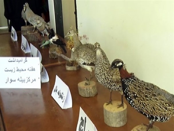 افتتاح نمایشگاه محیط زیست در بیله سوار+عکس