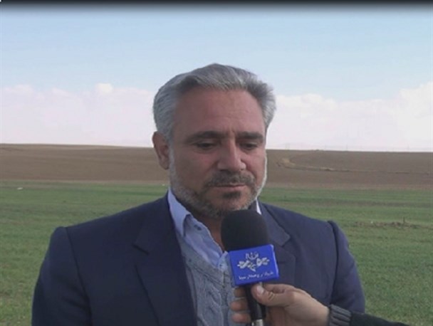عملیات سم‌پاشی و مبارزه با پوره سن مضر غلات در قروه آغاز شد