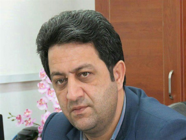 11 هزار تن گندم از مزارع بندرگز برداشت خواهد شد
