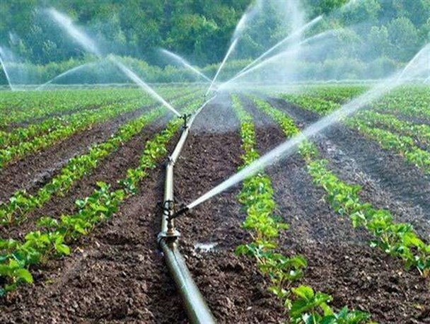 تجهیز 26 هزار هکتار از اراضی استان به سیستم آبیاری نوین / یزد؛رتبه دوم کشت گلخانه‌ای در کشور