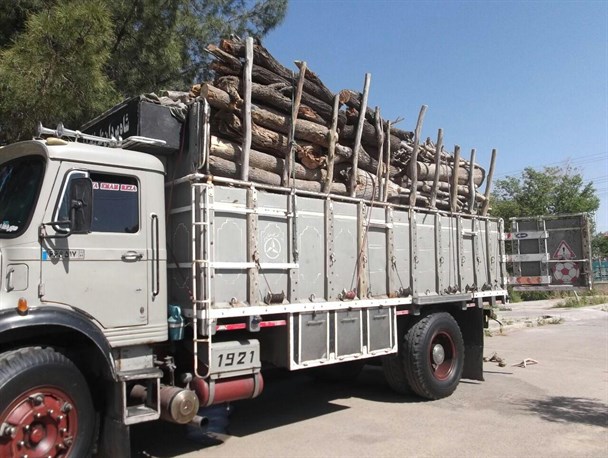 کشف ۱۰ تن چوب جنگلی قاچاق در کاشمر