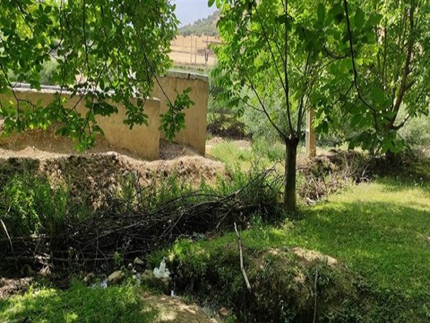 طبیعت بهاری روستای سراب رباط خرم‌آباد