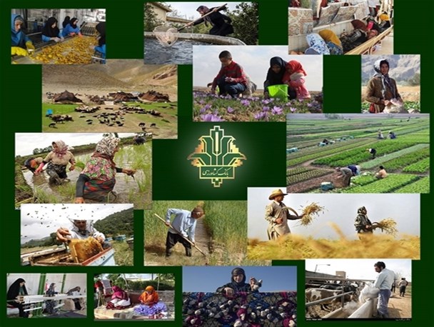 رشد ۹۳ درصدی پرداخت تسهیلات نسبت به مدت مشابه سال گذشته در بانک کشاورزی/ ۲۸ هزار فقره تسهیلات به کشاورزان پرداخت شده است