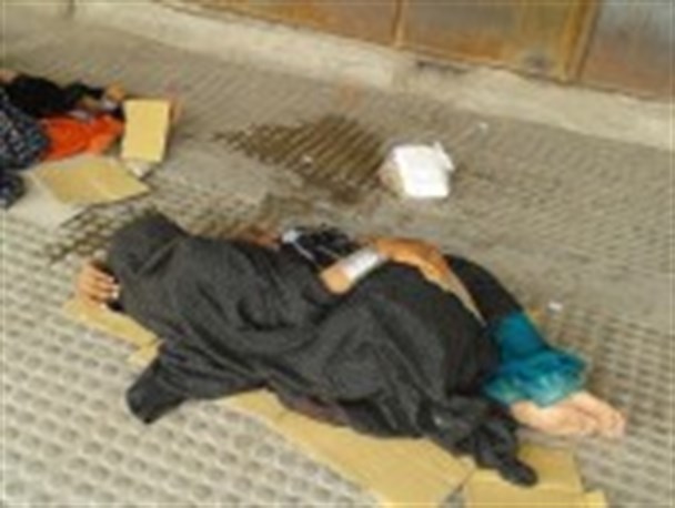میهمانان ناخوانده ای که کارتن خواب می شوند
