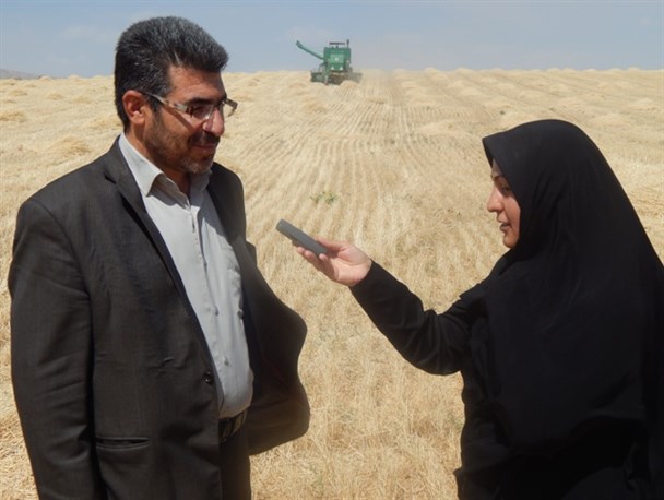 برداشت 130هزار تن گندم ازمزارع شهرستان خدابنده+عکس