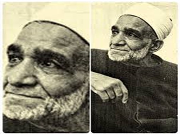 طلایه داران وحدت/ آیت شجاعت و اخلاص، علامه محمود شلتوت(۳)