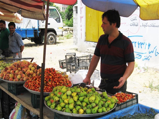 شهرداری به دنبال جمع آوری و فروشندگان در پی روزی حلال + تصاویر