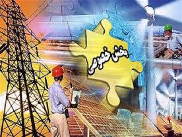 فعالیت بخش خصوصی، دنده کمکی دولت در حوزه اقتصادی است
