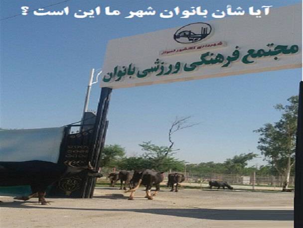 شهردار اهواز از نام بانوان فقط برای افزایش محبوبیت خود استفاده می کند