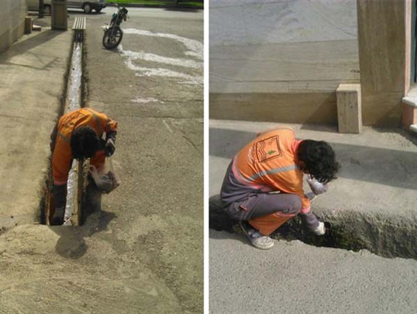 تیر خلاص شهرداری گرگان به جوندگان موذی