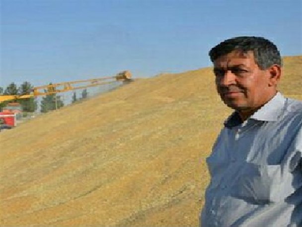 خرید بیش از هشت هزار تن گندم مازاد بر نیاز کشاورزان شرق اصفهان