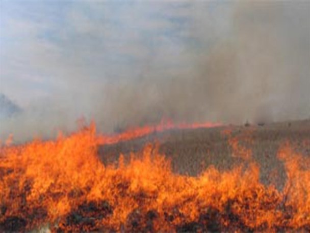 مهار آتش سوزی مزارع روستای چقاکبود اسلام آبادغرب/ سوختن 9 هکتار از مراتع و مزارع کشاورزی منطقه