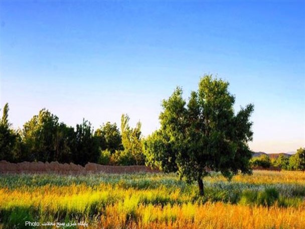 طبیعت گردی در روستای باستانی خورهه/تصاویر