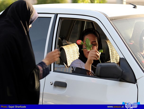 اهدای گل به زنان شیرازی در روز عفاف و حجاب