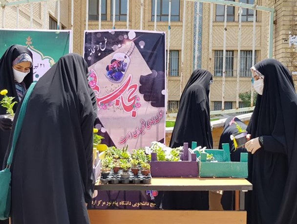 پویش ریحانه در اردبیل + عکس