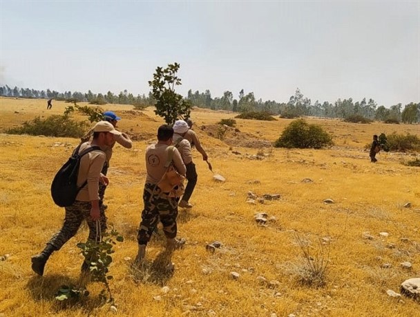 بسیجیان گچساران، در خط مقدم مبارزه با شعله‌های آتش+تصاویروفیلم