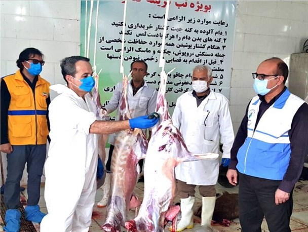 ۹۹۵ راس دام در عید قربان مورد بازرسی دامپزشکی استان مرکزی قرار گرفت