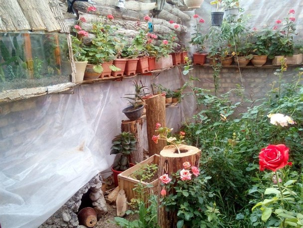 گلخانه ای زیبا در اقلید + تصاویر