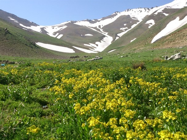 ییلاقات ماهنشان بهترین مکان برای سفرهای تابستانی/ مناطق بکر و طبیعی ماهنشان در انتظار گردشگران+تصاویر