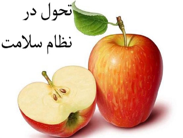 آغاز اولین دوره سرشماری طرح سلامت در سراوان/طرح سرشماری سلامت جمعیت برای 12 هزار خانوار