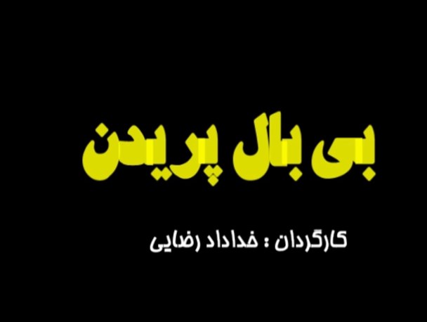 مستند «بی بال پریدن» در بوشهر ساخته شد + تصاویر