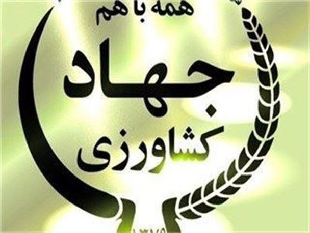 در سطح شهرستان درمیان 22 صندوق خرد زنان روستایی فعال است