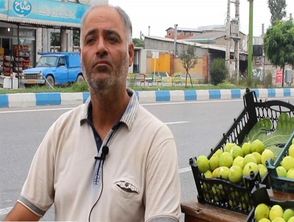 لذت‌ باغداری به روایت کشاورز گلوگاهی/ باغات انجیر معطل صنایع تبدیلی