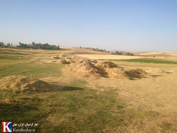 دیدنی های تابستانه روستای کانی کُن بیجار
