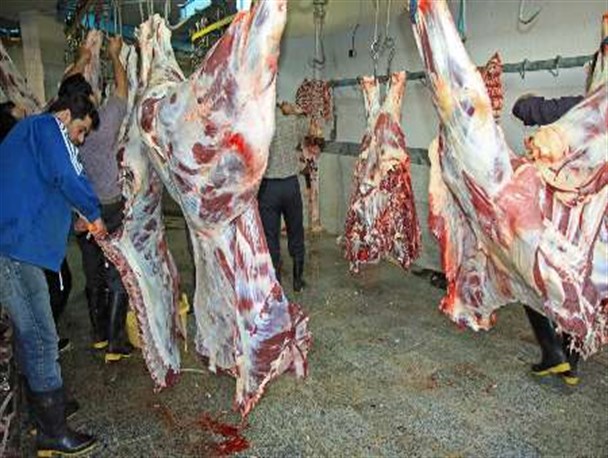 یکی از کشتارگاه های بروجرد اخطار زیست محیطی گرفت