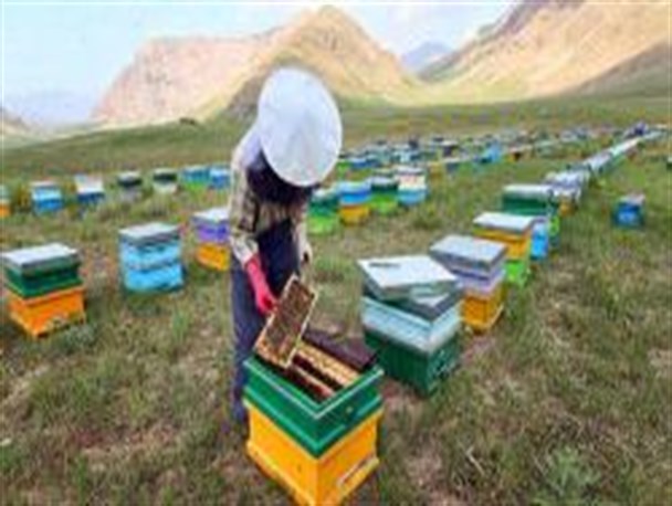 خودکفایی خانواده سیروانی با تسهیلات اعطایی بسیج سازندگی