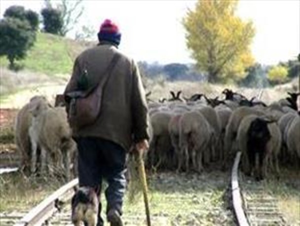 چه کسی پرده از راز مرگ مشکوک احشام مرد روستایی برمی دارد؟