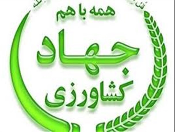 50 مرکز جهاد کشاورزی در خراسان رضوی فعال است/ 8 کشاورز قوچانی بعنوان کشاورز نمونه استان انتخاب شدند