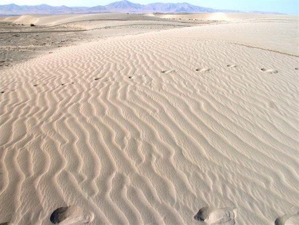 کاش قدر آب را بیشتر می دانستیم