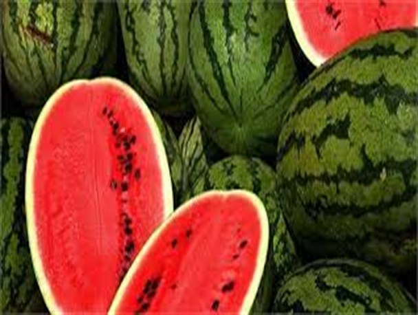 فروش هندوانه به نرخ آب در بحران کم آبی/ محصولی که تا دیروز گل سرسبد بود