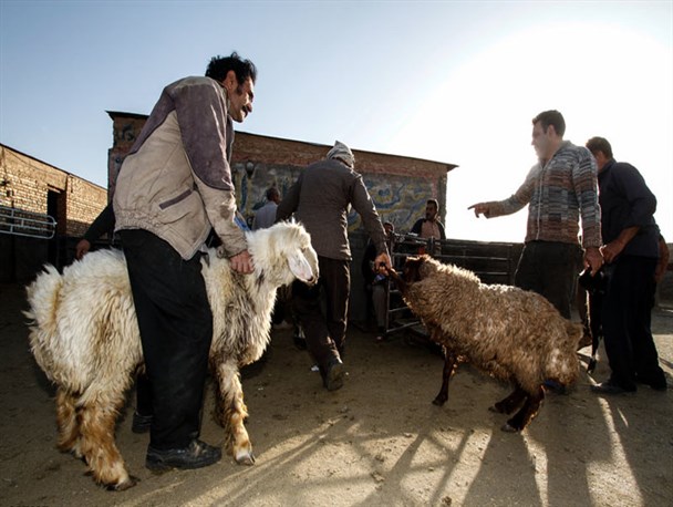 آمادگی کمیته امداد امام خمینی(ره) رشتخوار جهت دریافت نذورات عید سعید قربان