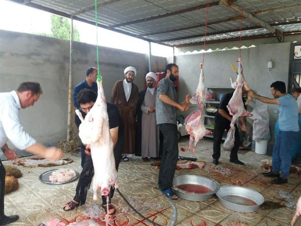 قربانی کردن 12 راس گوسفند توسط هیئت بیت الاحزان + عکس