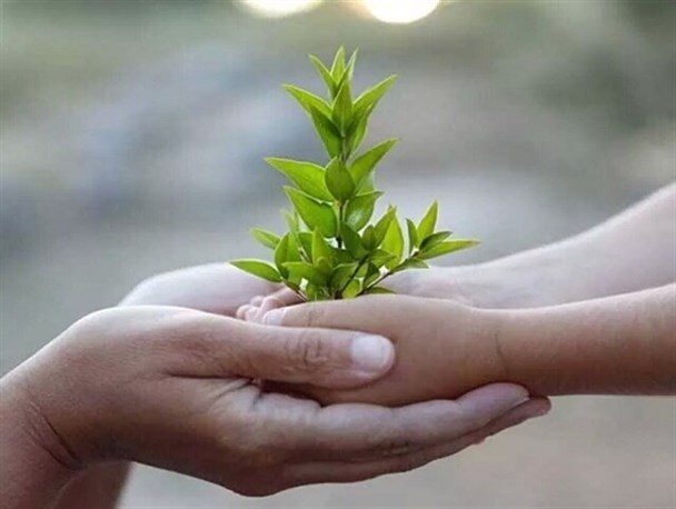 استان مرکزی پیشگام اجرای طرح «امدادیاران خبرنگار»در کشور/سرانه پرداختی صدقات در استان ماهانه ۴۰۰ تومان است