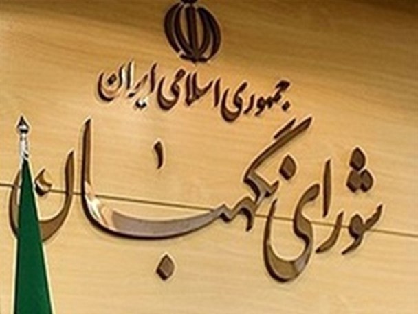 تاختن به موضوع نظارت استصوابی شورای نگهبان، سیاسی بازی است