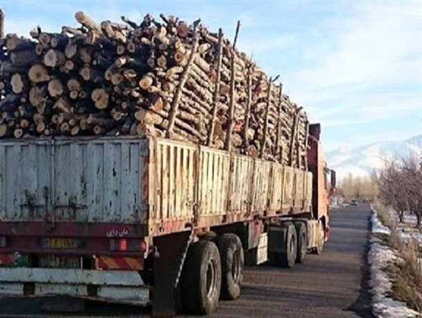 کشفیات قاچاق چوب در سال گذشته 25 درصد افزایش یافت