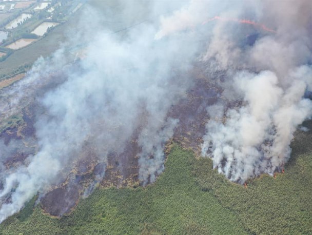 رنج تالاب انزلی از سال‌ها بی‌تدبیری/ آیا ماجرای تلخ دریاچه ارومیه در گیلان تکرار می‌شود؟