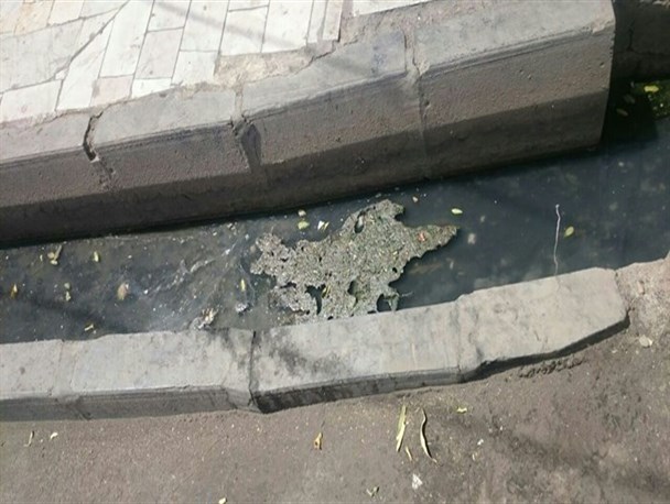 شهروندان و مدیریت شهری مقصر کثیفی جوی های آب شهر!+ تصاویر