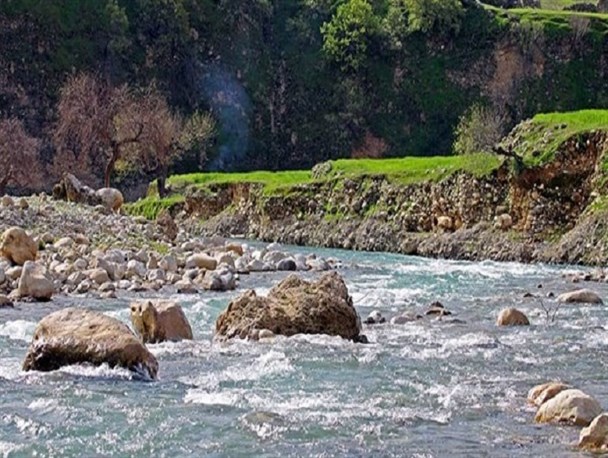 ورود پسماند مجتمع گاوداری دنا به رودخانه بشار ممنوع شد+تصاویر
