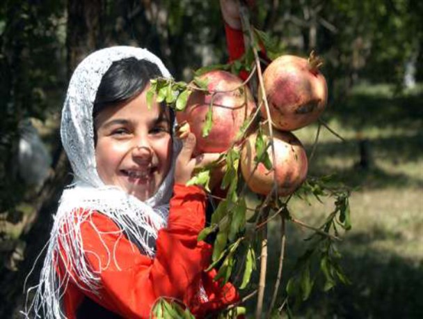 برگزاری مراسم سنتی انارچینی در نوده عمارلو