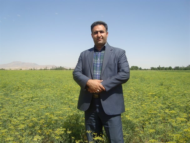 تلاش در جهت کاهش کشت محصولات پرآب ادامه می یابد
